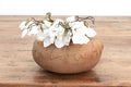 Antique Dionysian Terracotta Water Jar
