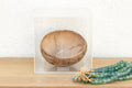 Ancient Pre-Columbian Encased Terracotta Bowl