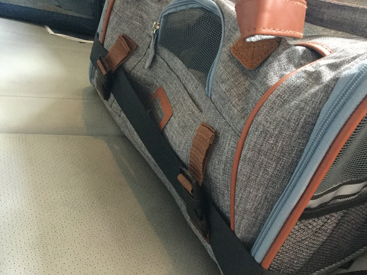 Mr. Peanut's Gold Series Big Apple XL Expandable Pet Carrier V3.0
