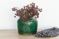 Moonlit Teal Asian Pot