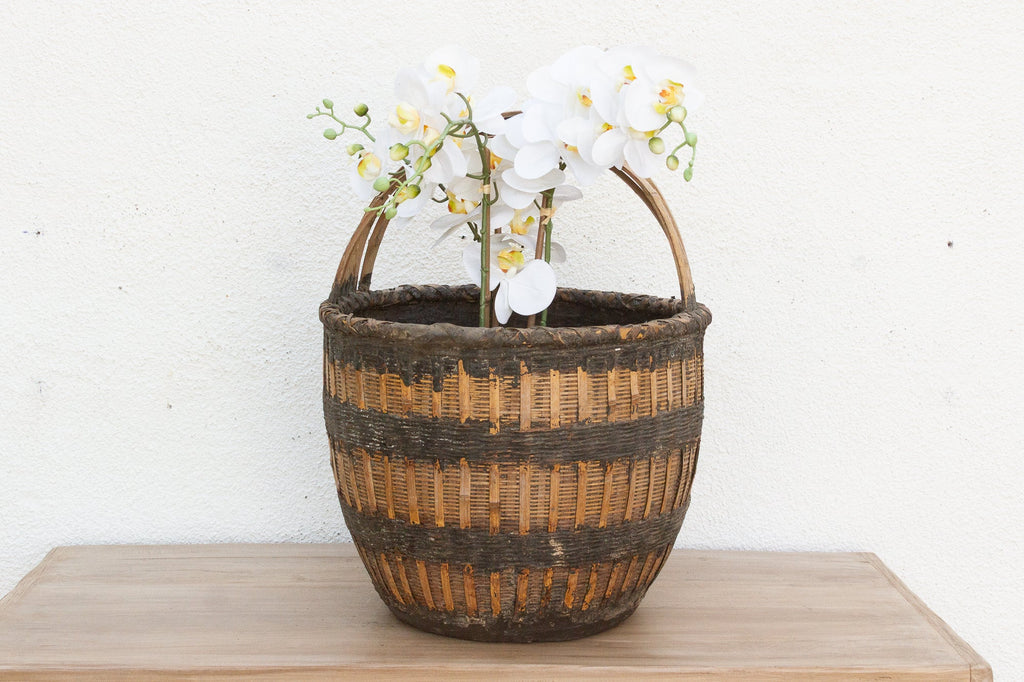 Country Farm Harvest Basket