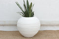 Modern White Mediterranean Beehive Planter