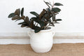 Rustic White Terracotta Mediterranean Planter