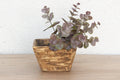 Small Vintage Harvest Wood Box