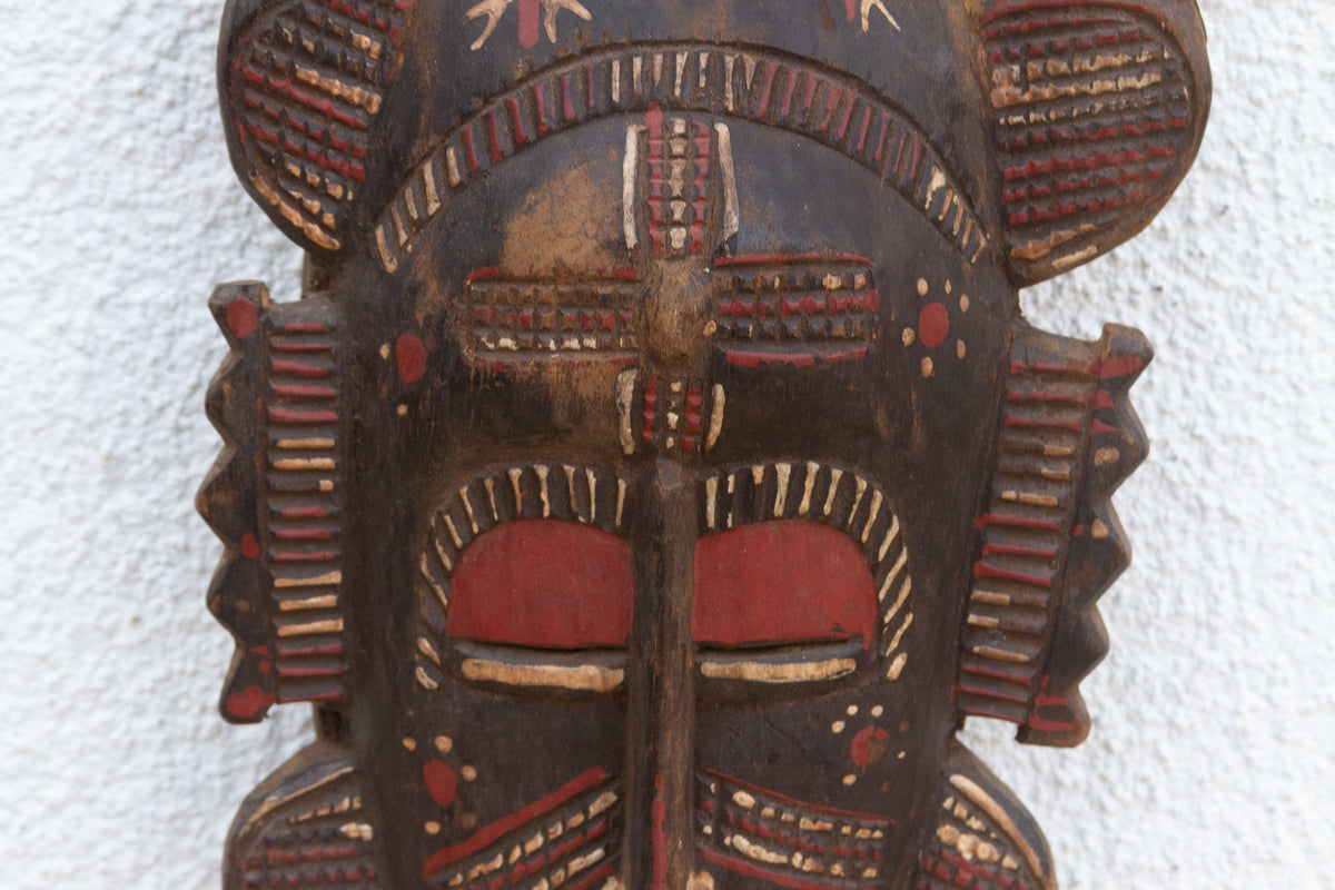 Avian Spirit African Painted Mask