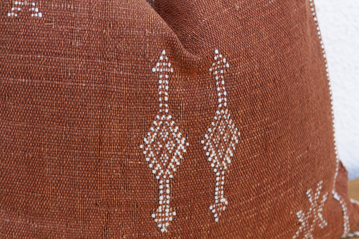Clay Diamond Cactus Silk Moroccan Pillow