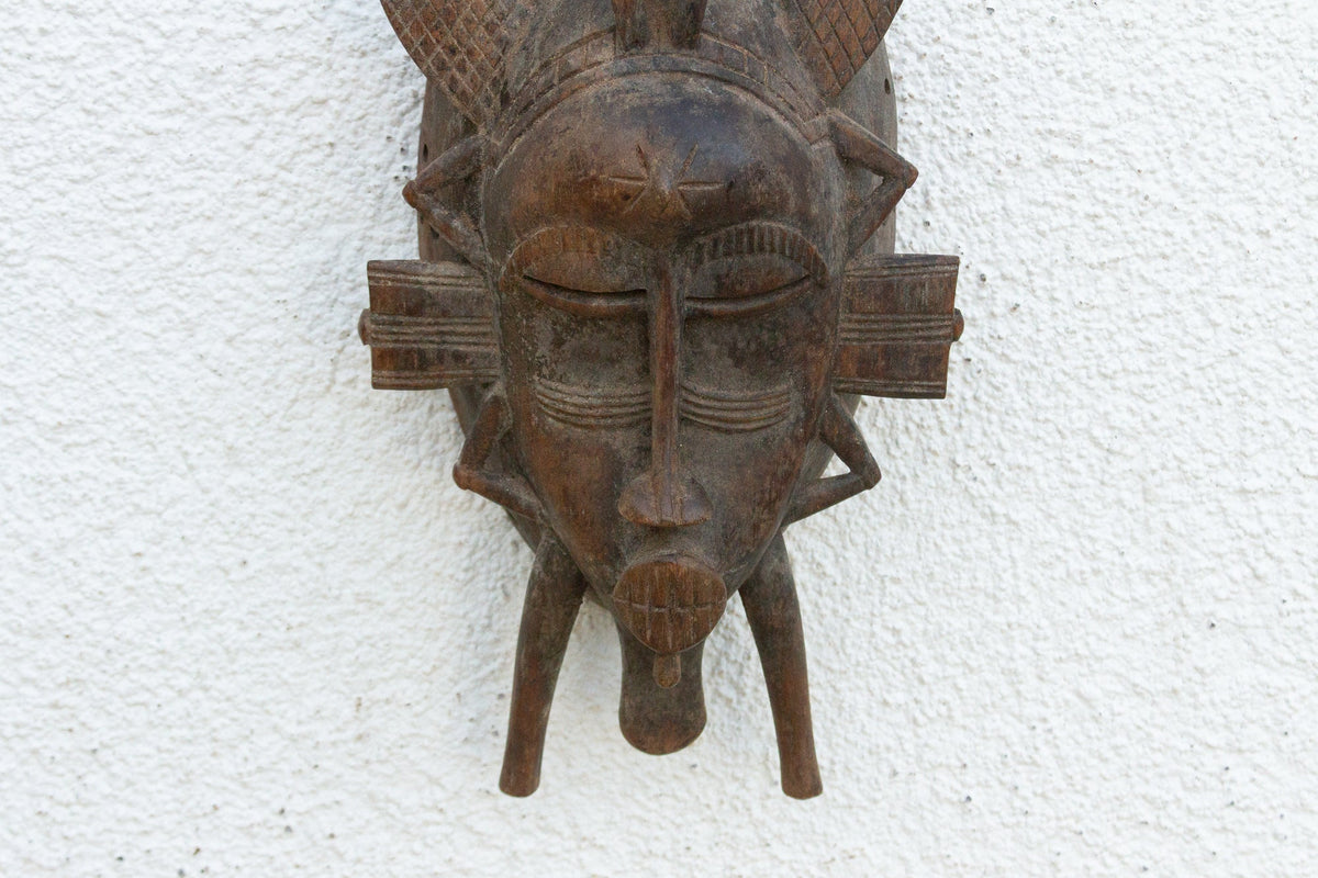 Vintage Lizard Headrest Mask Art