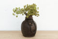 Antique Dark Ebonized Wood Jar (Trade)