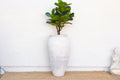 Monumental Coastal Villa Whitewash Planter