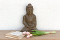 Peaceful Double Lotus Seated Stone Buddha