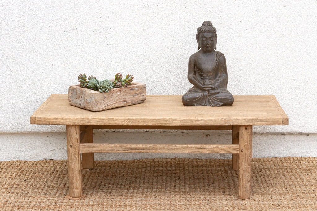 Coastal Chic Old Elm Coffee Table