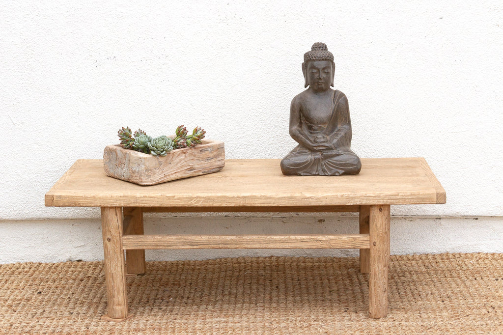 Coastal Chic Old Elm Coffee Table