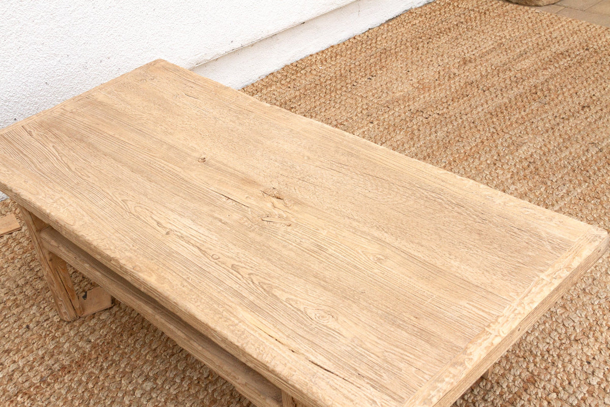 Coastal Chic Old Elm Coffee Table