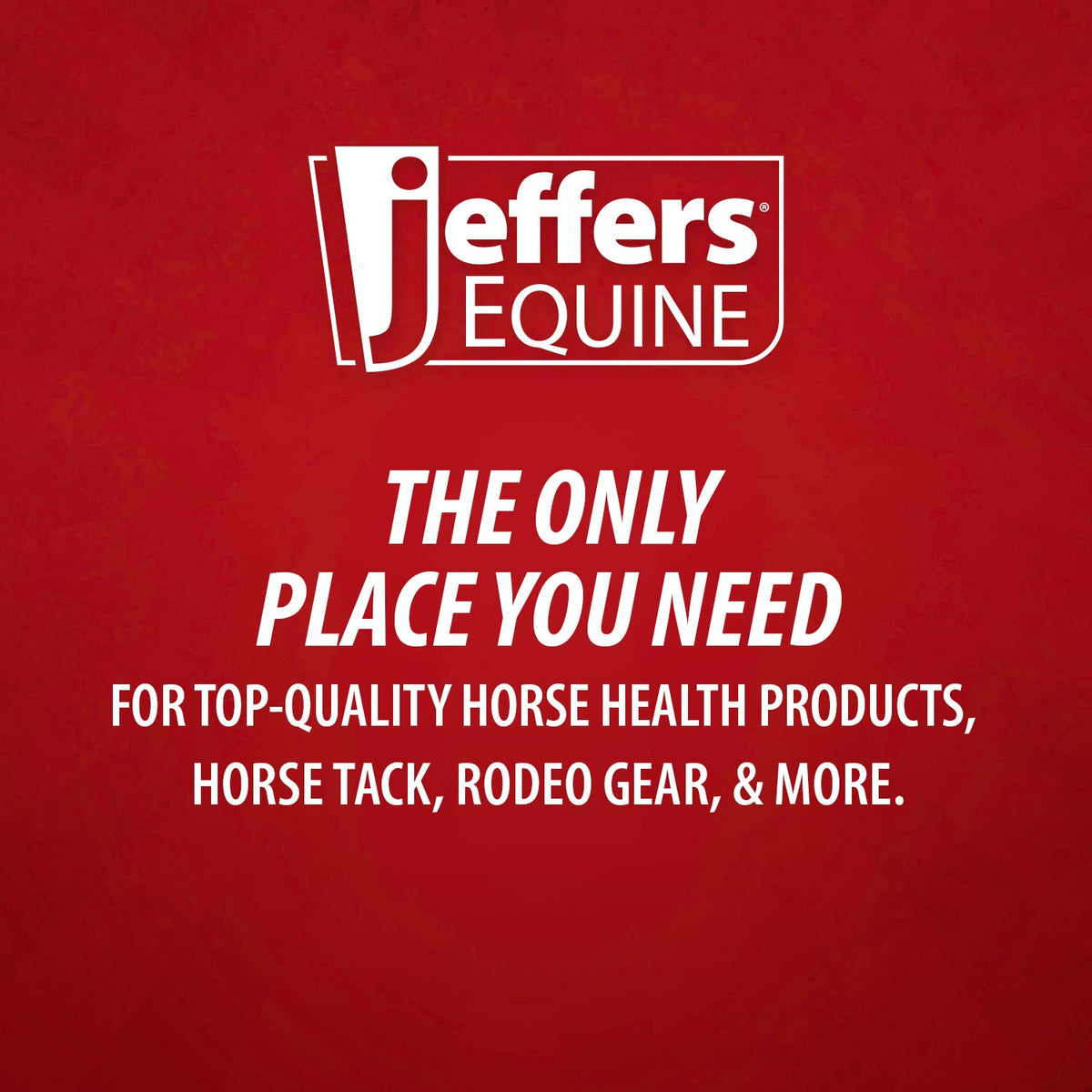 Jeffers Expression No-Turn Bell Boots for Horses, Pair, Nylon