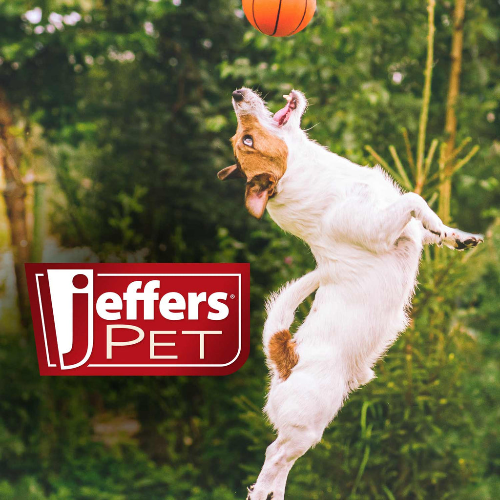 Jeffers Pet Tea Tree (Melaleuca) Medicated Dog Shampoo for Dry Skin