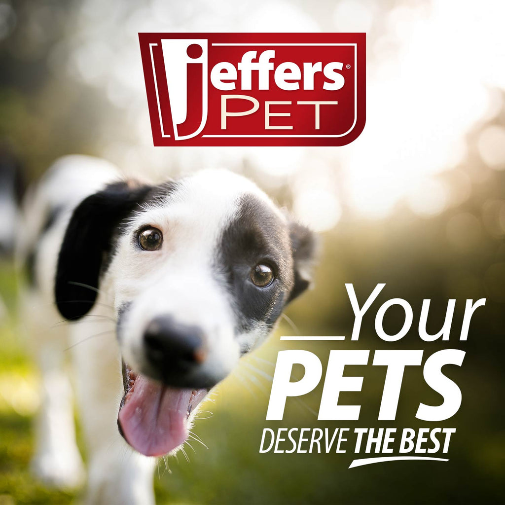 Jeffers T-Rex Natural Rubber Treat Dispensing Dental Dog Chew Toy for Medium Chewers with Vanilla Scent
