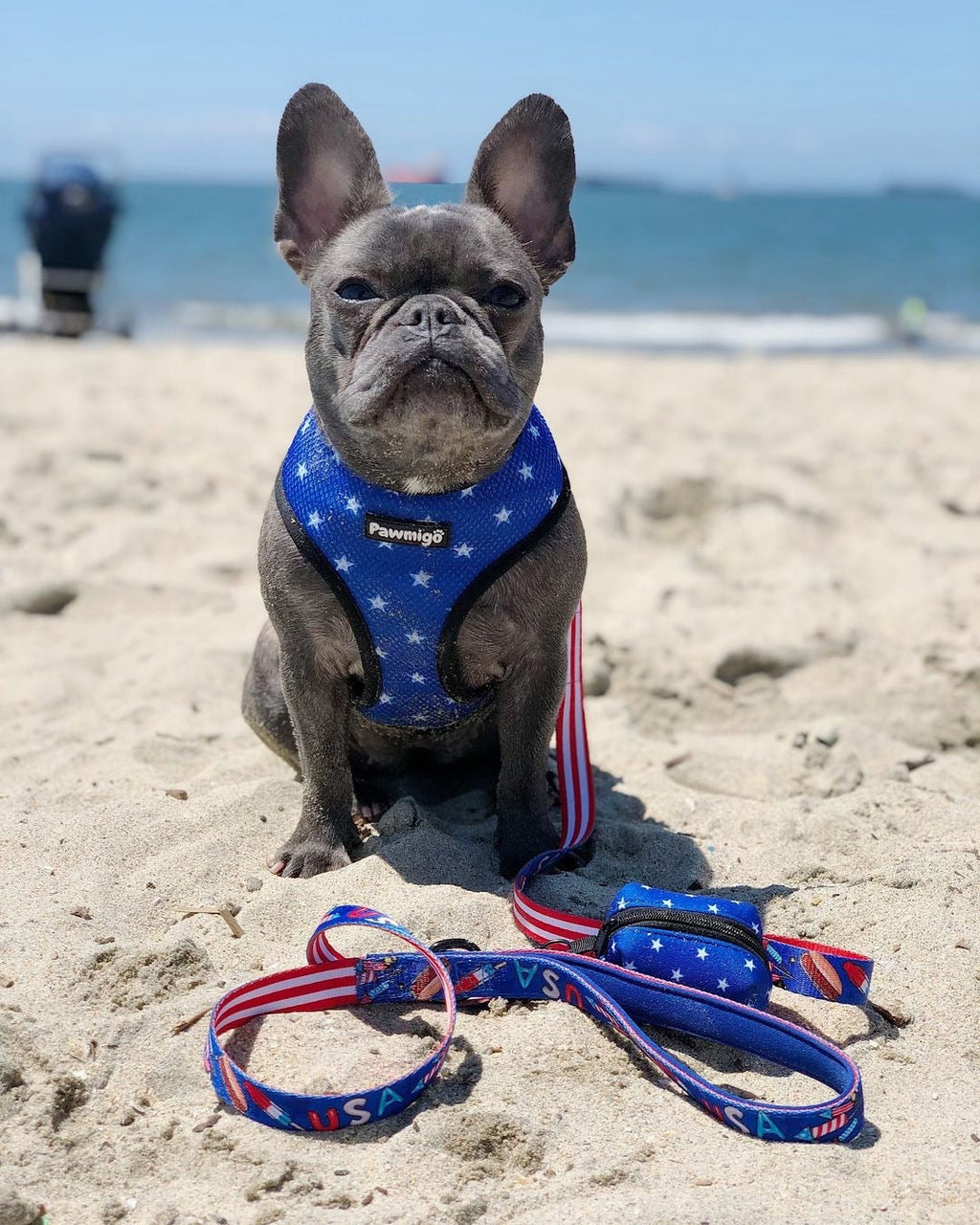 Red, White & Bark Reversible Harness