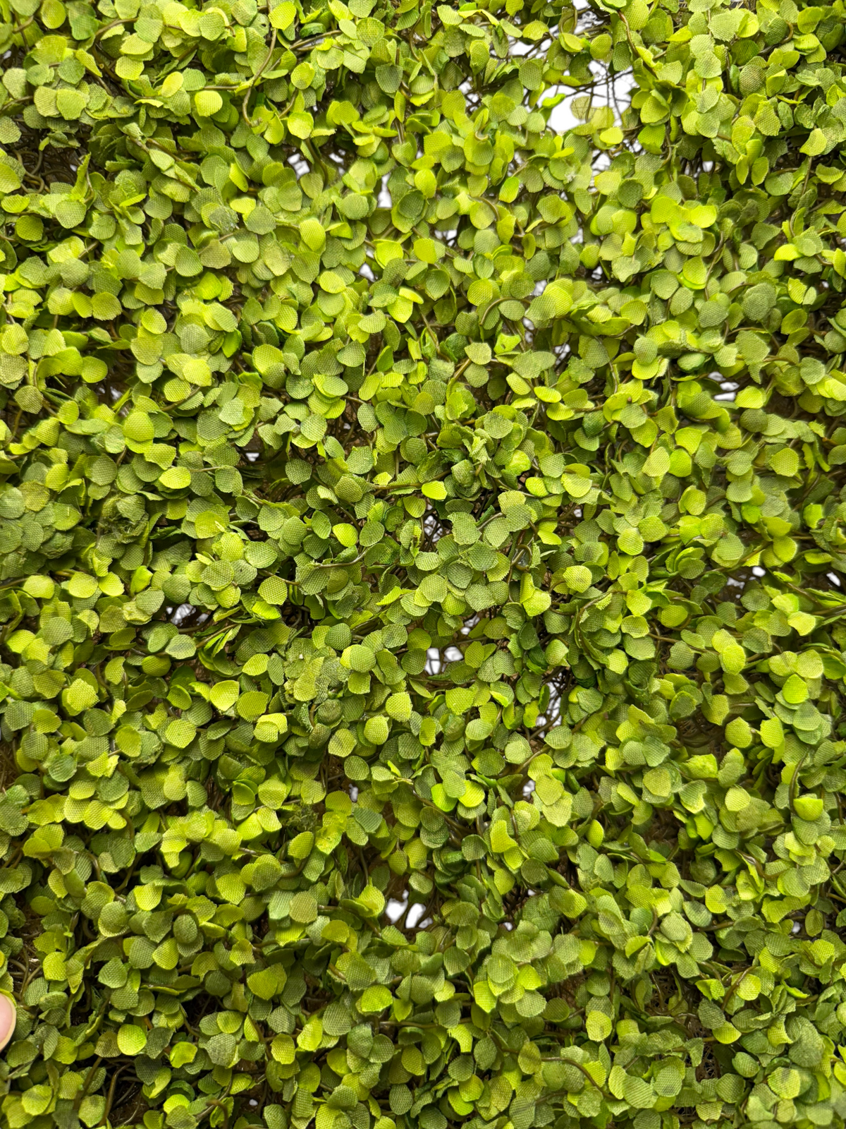 Green Moss Mat | 12'' Square