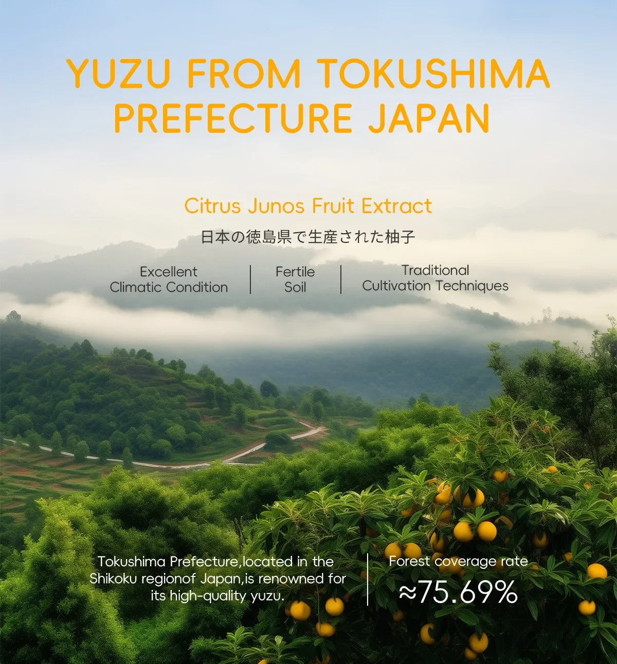 Japanese Yuzu Toner 100ml Deep Hydration Pore Minimizing Brightening Effect Long Lasting Moisture Revitalizing Skin Treatment