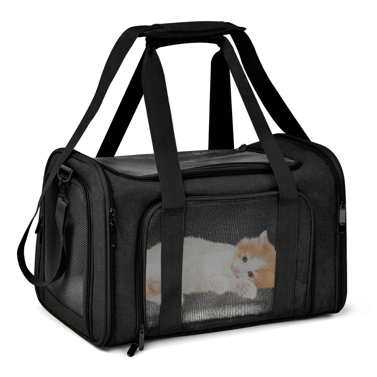 1PC Cat, Dog Carrier for Small Medium Cats Puppies up to 15 Lbs, Collapsible Travel Puppy Carrier