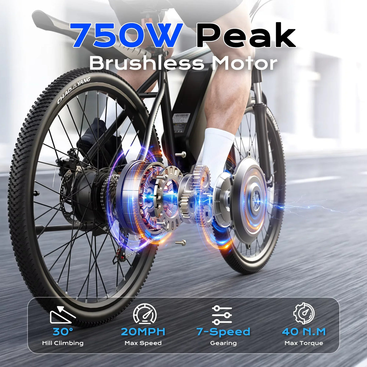 Electric Mountain Bike 750W Peak 48V Battery