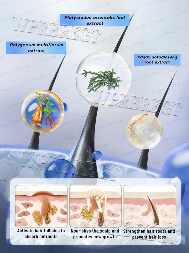 2026 Scalp care. No dandruff. Water-Oil Balance