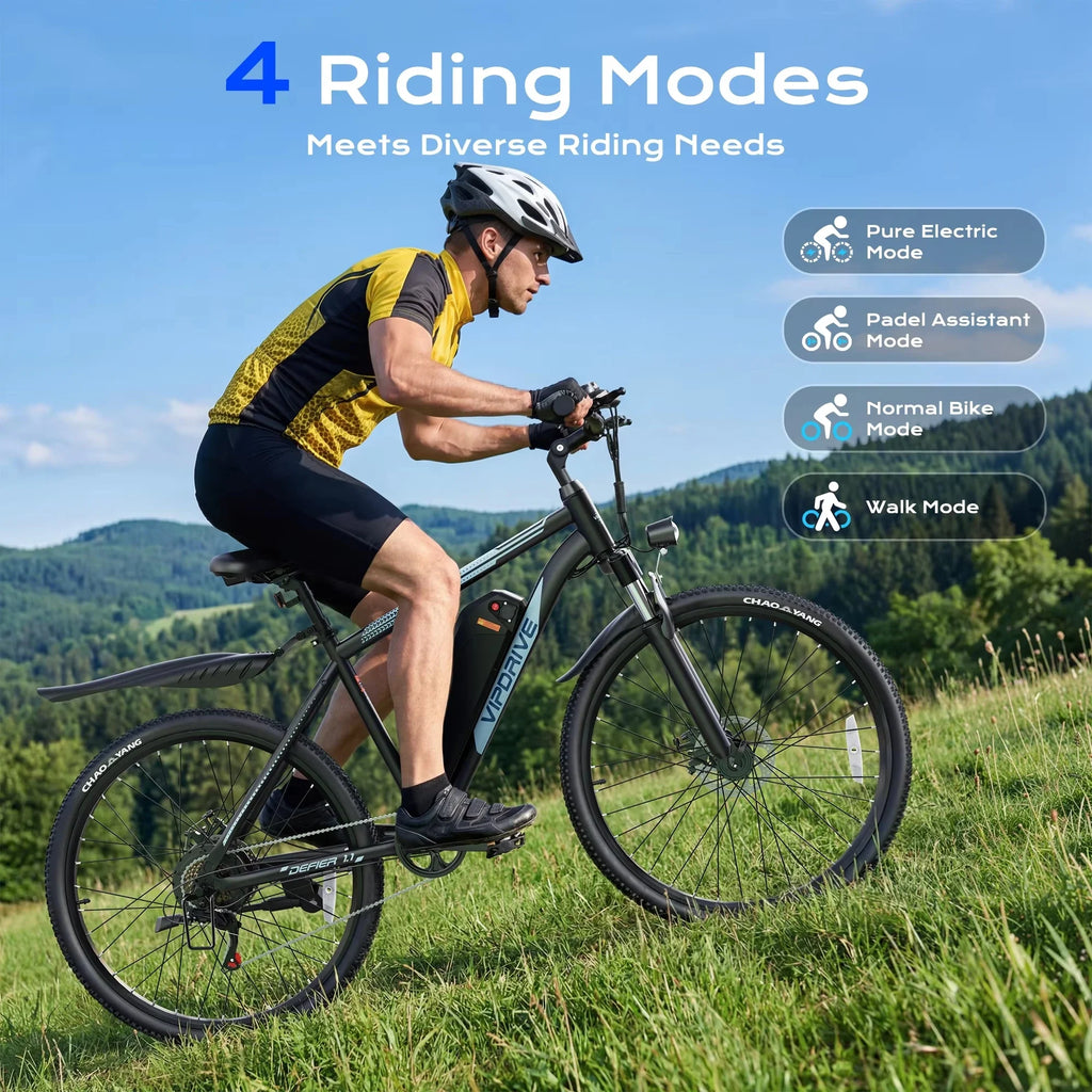 Electric Mountain Bike 750W Peak 48V Battery
