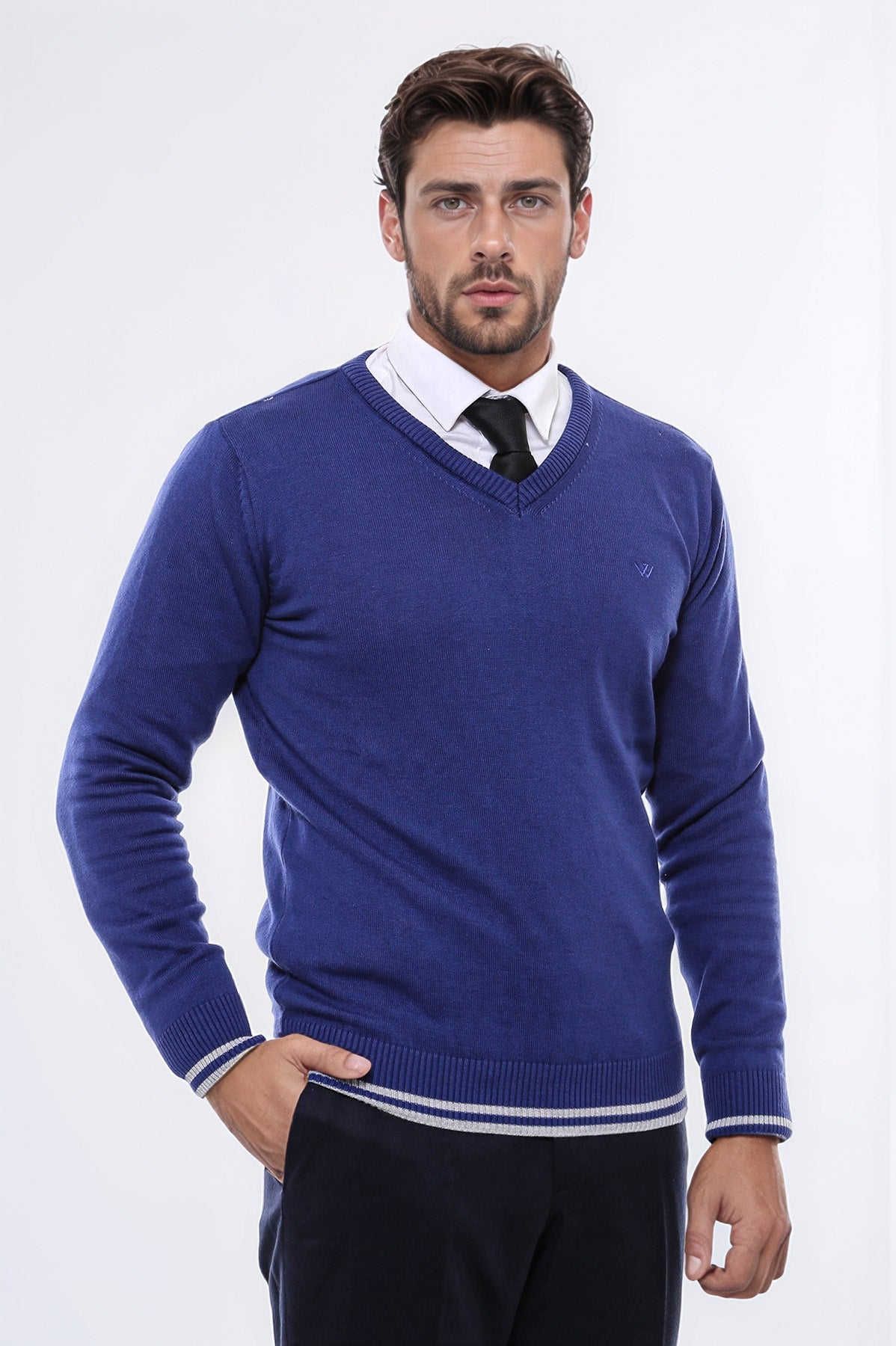 Dark Blue V Neck Slim Fit Sweater - Wessi