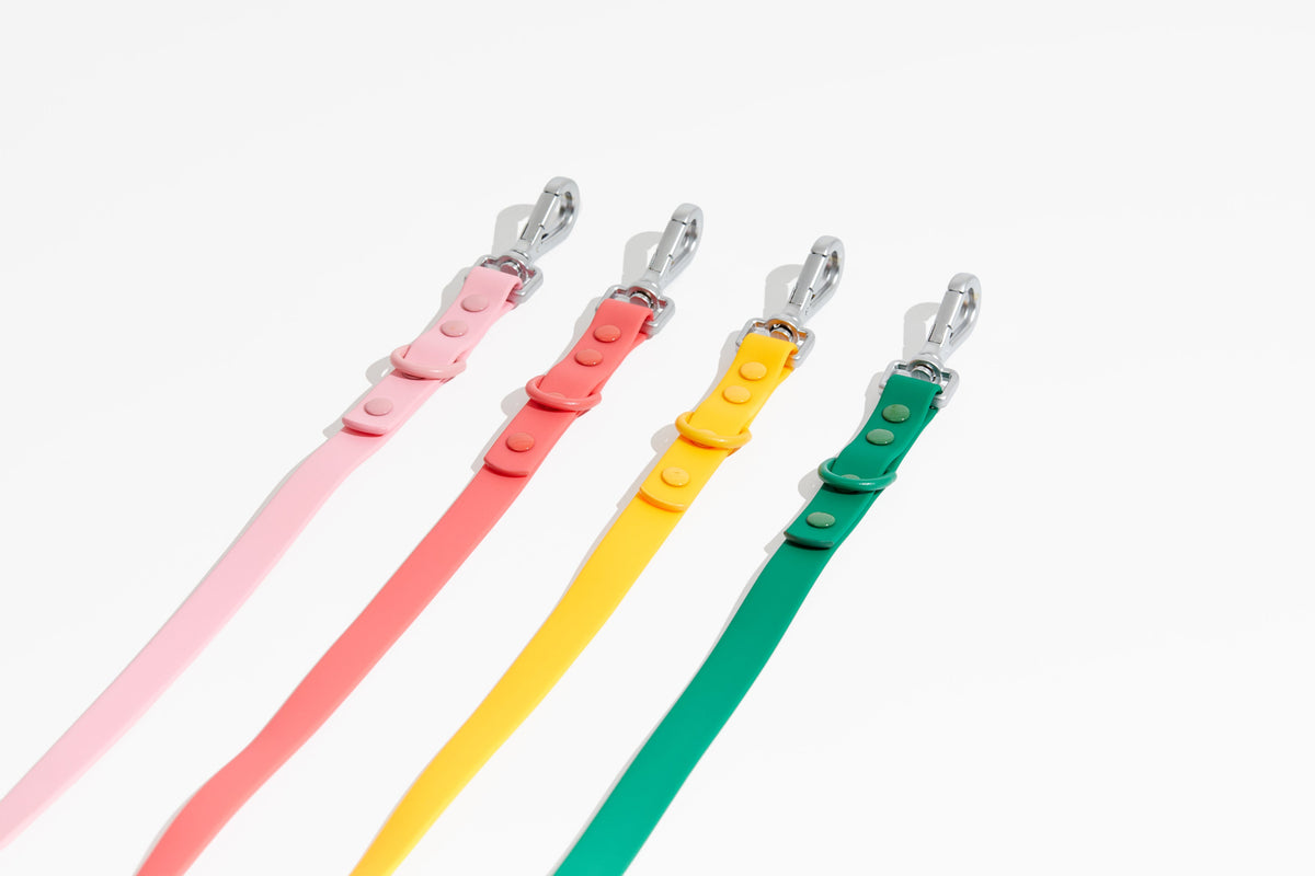 Luxe Leash - Palma