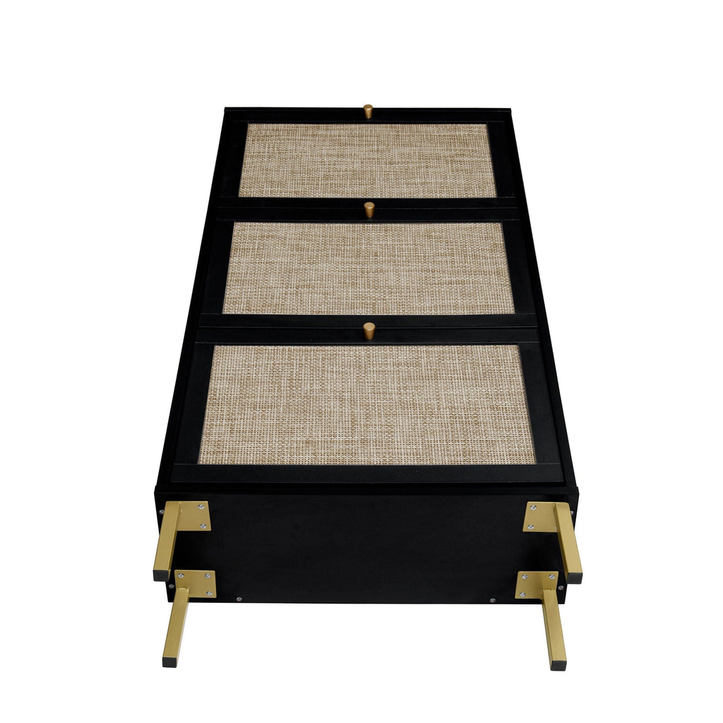 Modern Rattan 3 Door Shoe Rack Cabinet for Entryway