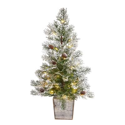 2'Frosted Pre-Lit Artificial Christmas Tree with Pinecones in Decorative Planter