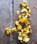 Artificial Ginkgo Stem in Yellow 37" Tall Faux