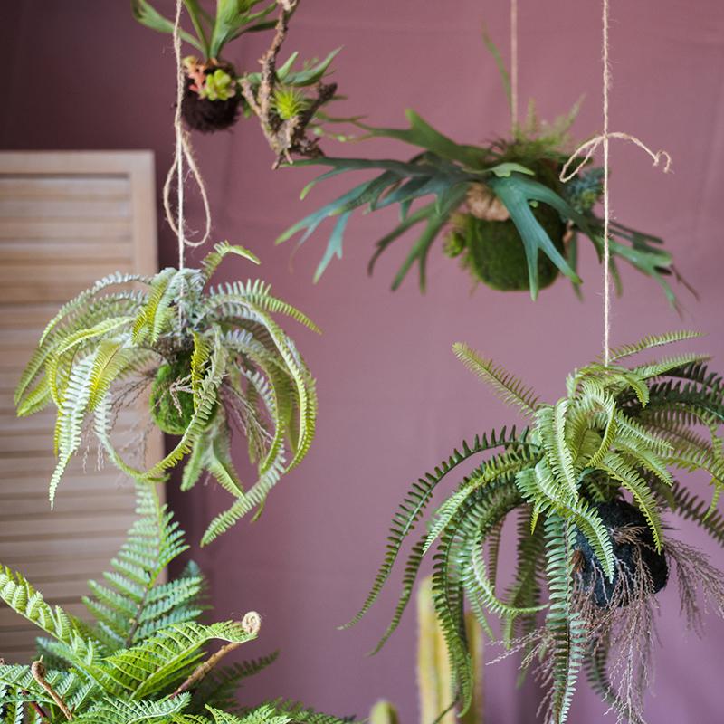 Artificial Plant Hanging Fern Plant Décoration