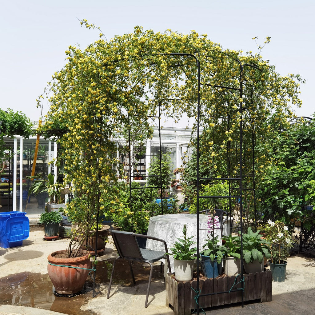 Metal Garden Arch Iron Pergola