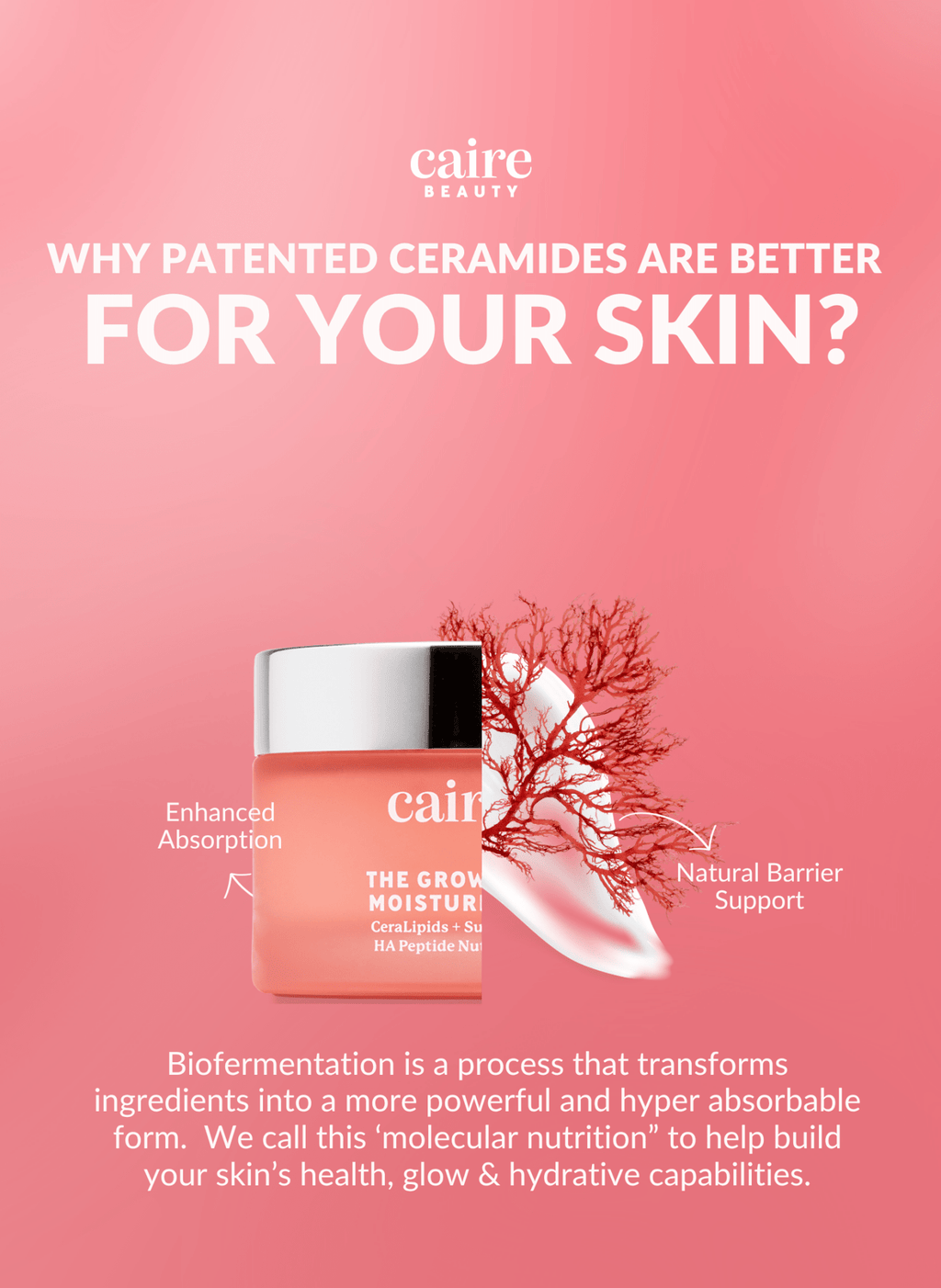 Vitamin C Serum for Mature Skin – Anti-Aging Brightening Face Serum