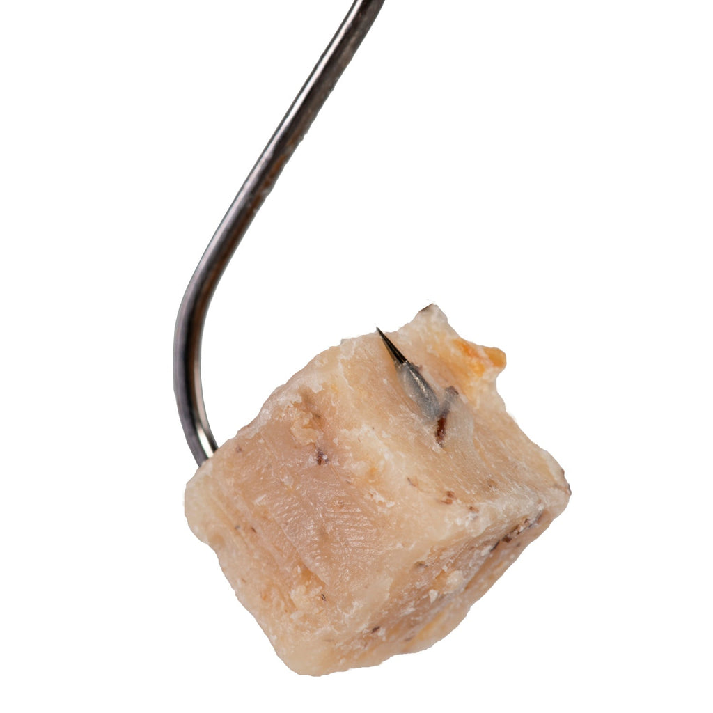 Blood Worm Catfish Bait