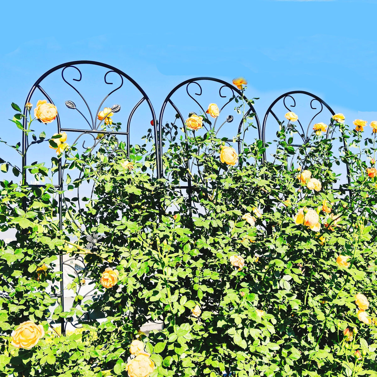 4 Pack Metal Garden Trellis 86.7'' x 19.7'' Rustproof Black