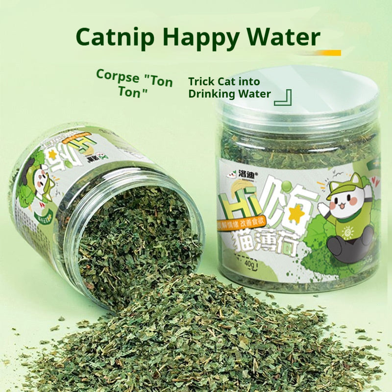Catnip Cat Grass Leaves Cat Treats Cat Teaser Toy