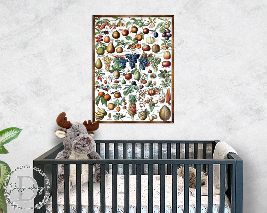 Fruit Montessori Wooden Poster - Homeschool I Educational Poster - Classroom Decor - Aesthetic - 310223
