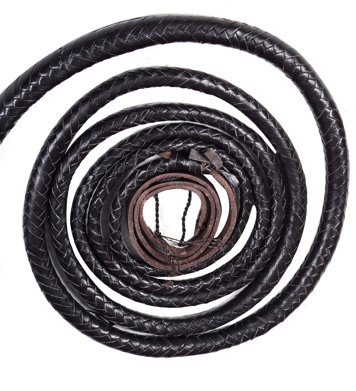 Coco Black Leather Bull Whip – 16 Plait
