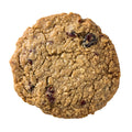 Cranberry Walnut Coconut Oatmeal Cookies - 12 pack