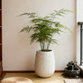 13.38' Dia x 16.14' H Large Round Planter