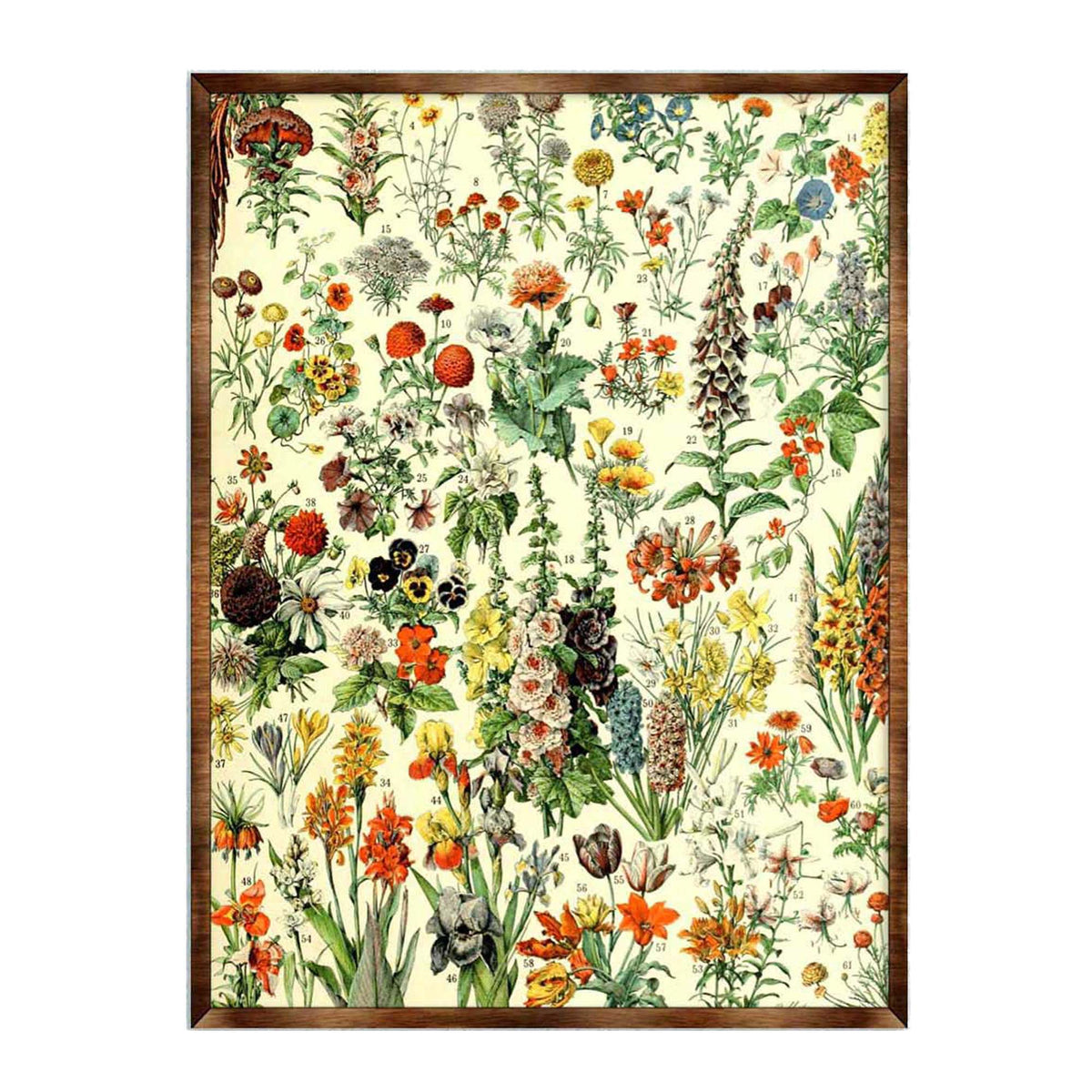 Flowers Montessori Wooden Poster - Homeschool I Educational Poster - Classroom Decor - Aesthetic - 310222