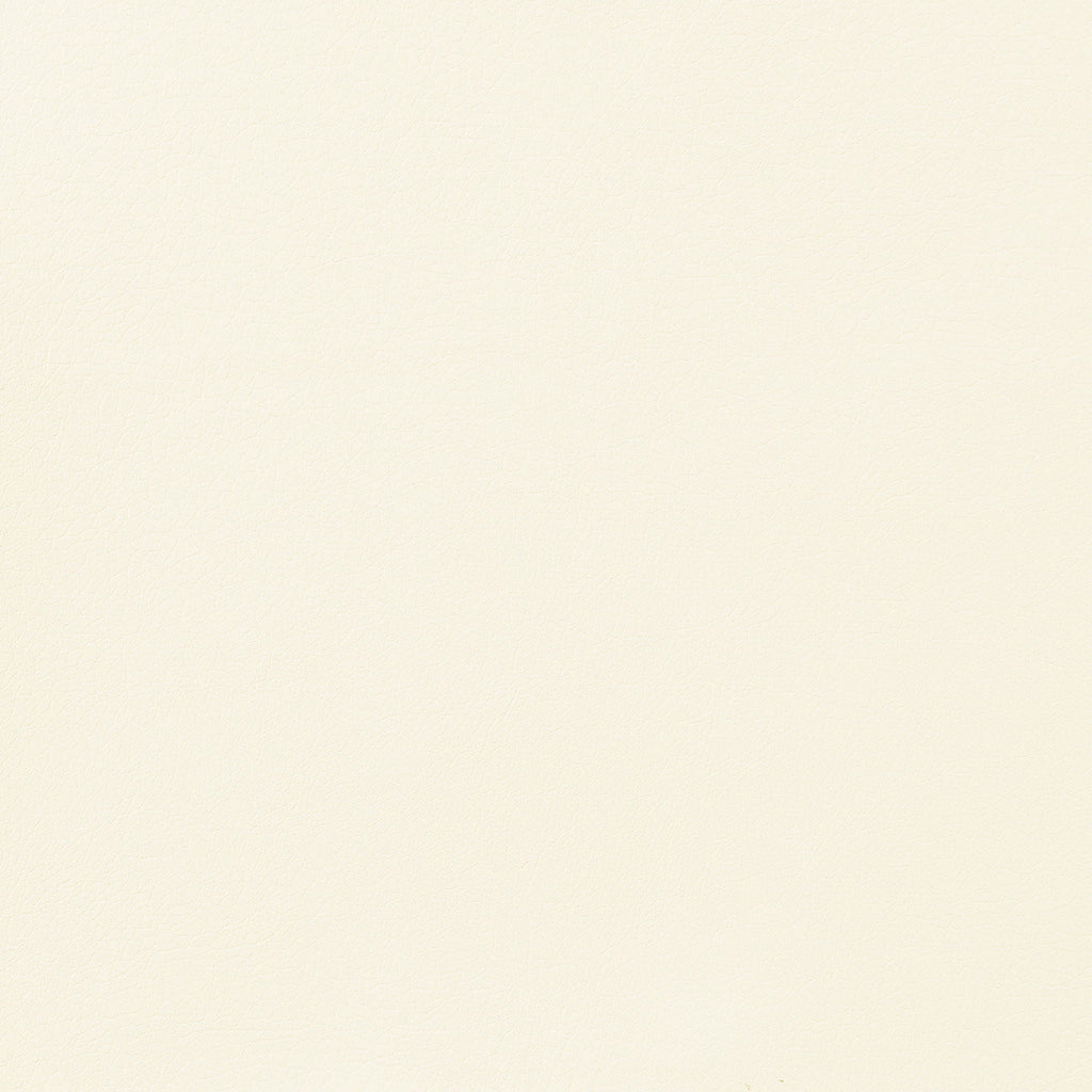 Earline - Upholstered Track Arm Accent Chair - White