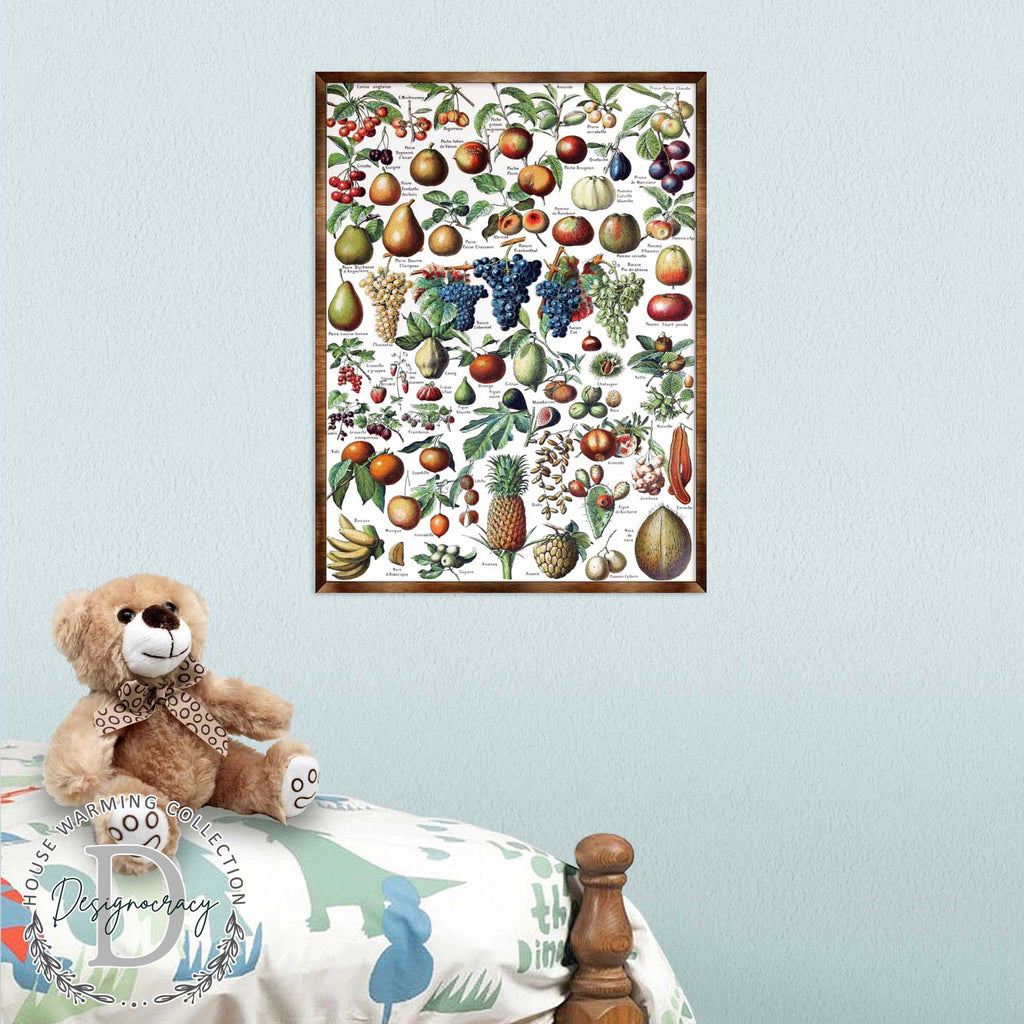 Fruit Montessori Wooden Poster - Homeschool I Educational Poster - Classroom Decor - Aesthetic - 310223