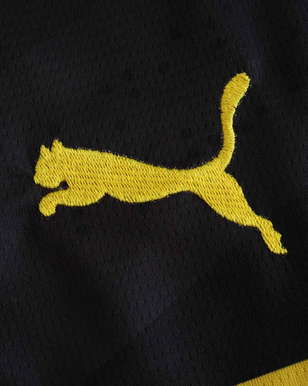 DORTMUND AWAY 2024/25