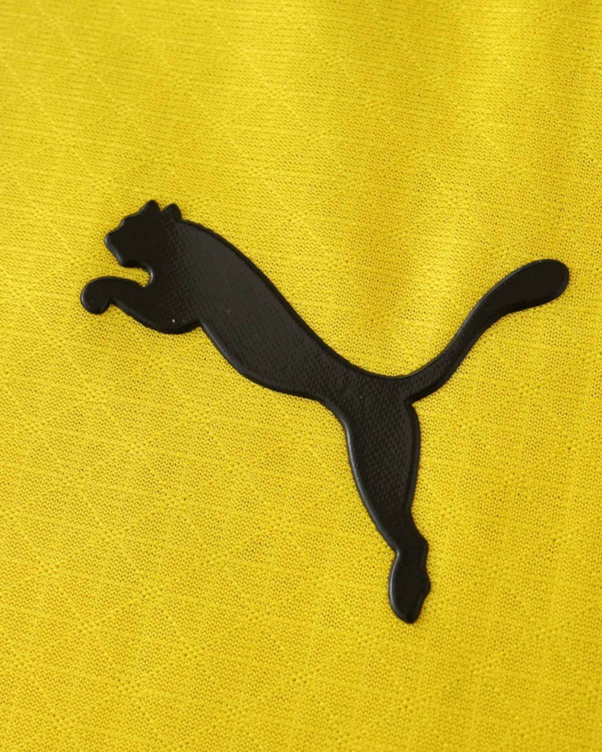 DORTMUND CHAMPIONS LEAGUE HOME 2024/25