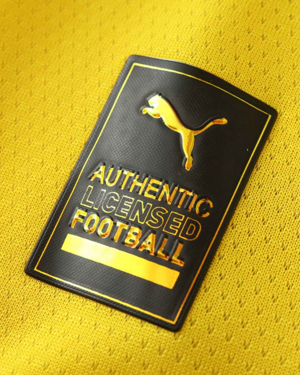 DORTMUND CHAMPIONS LEAGUE HOME 2024/25