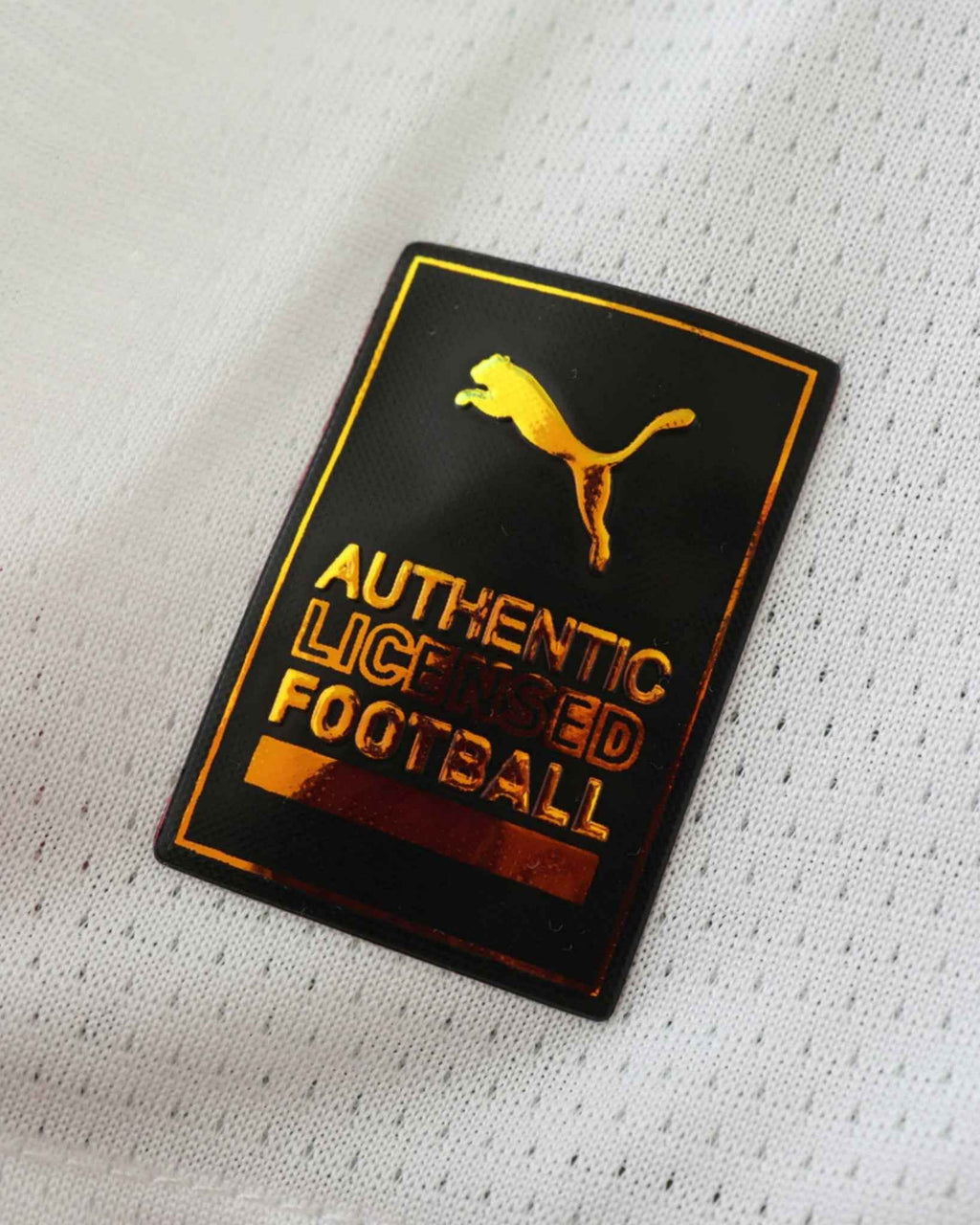 DORTMUND THIRD 2024/25