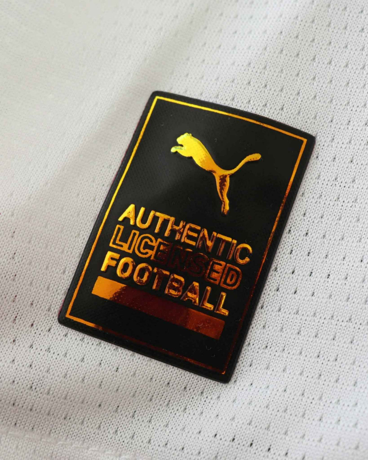 DORTMUND THIRD 2024/25